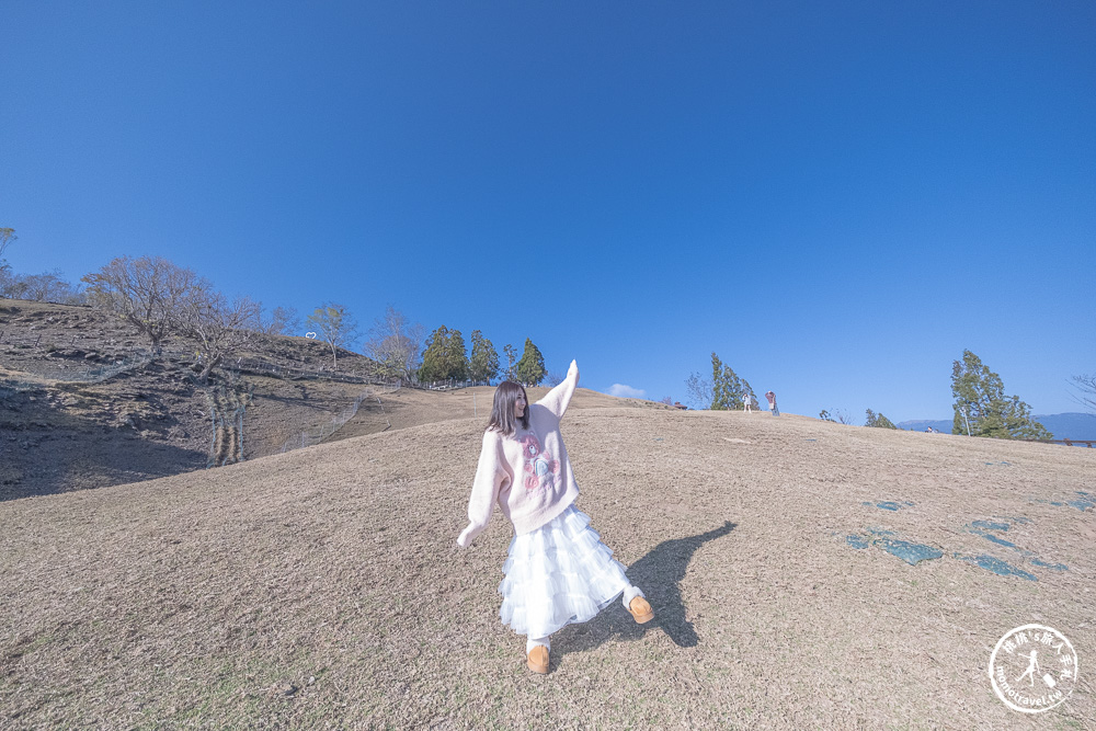 清境農場一日遊怎麼玩? 交通.門票.綿羊秀時間.必看天空步道+周邊美食景點住宿推薦完整攻略 清境農場一日遊怎麼玩? 交通.門票.綿羊秀時間.必看天空步道+周邊美食景點住宿推薦完整攻略