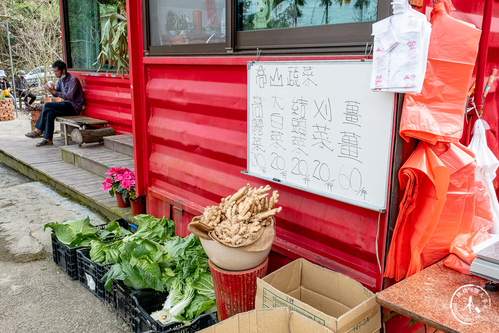 九尖茶廠 南投國姓鄉九份二山|滿山滿谷梅花滿開中|2022最新賞梅花花況