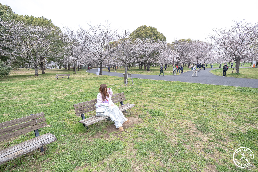 東京賞櫻景點|舍人公園-千本櫻絕美盛開！品種多元花期長 悠閒野餐推薦-日暮里舍人線櫻花秘境
