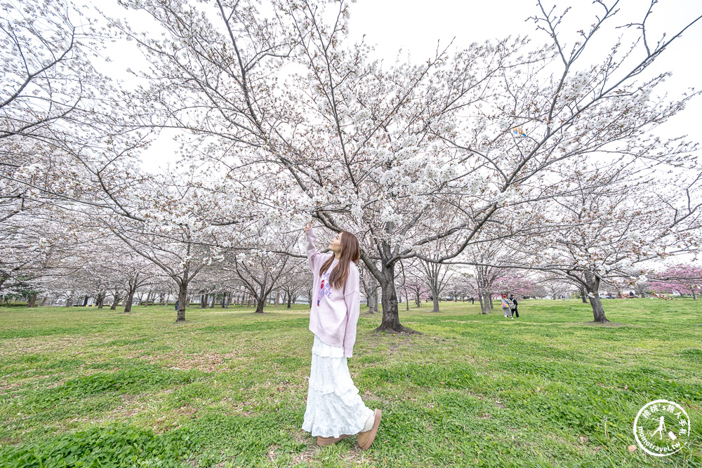 東京賞櫻景點|舍人公園-千本櫻絕美盛開！品種多元花期長 悠閒野餐推薦-日暮里舍人線櫻花秘境