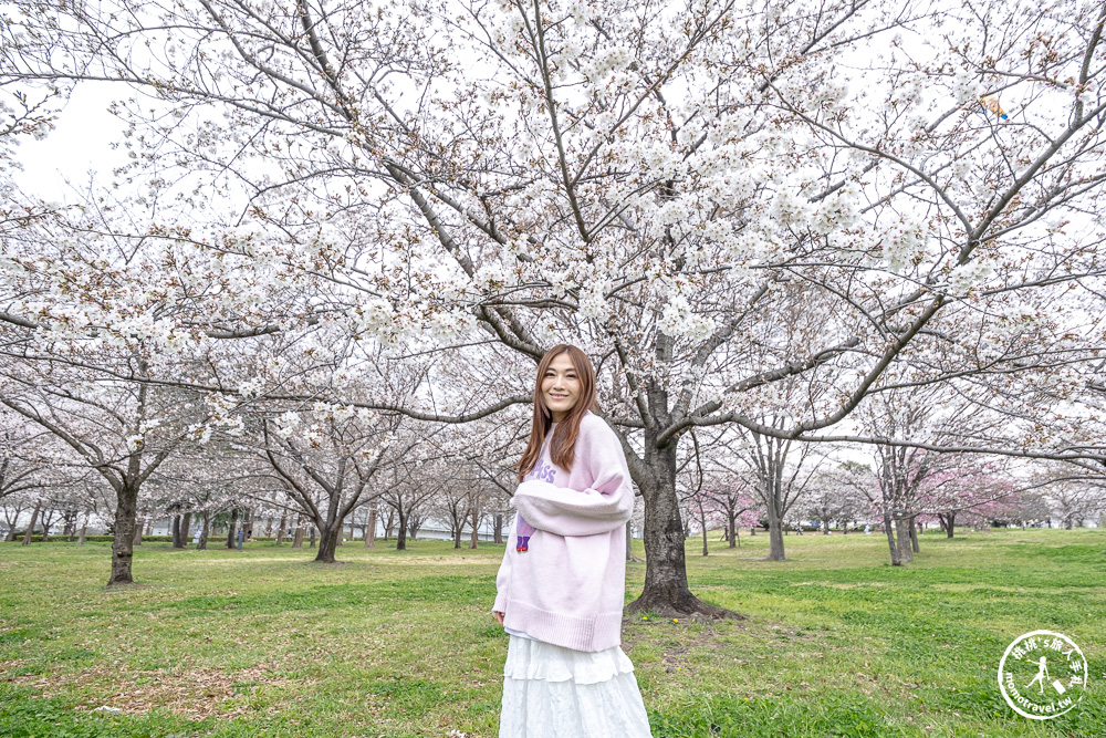 東京賞櫻景點|舍人公園-千本櫻絕美盛開！品種多元花期長 悠閒野餐推薦-日暮里舍人線櫻花秘境