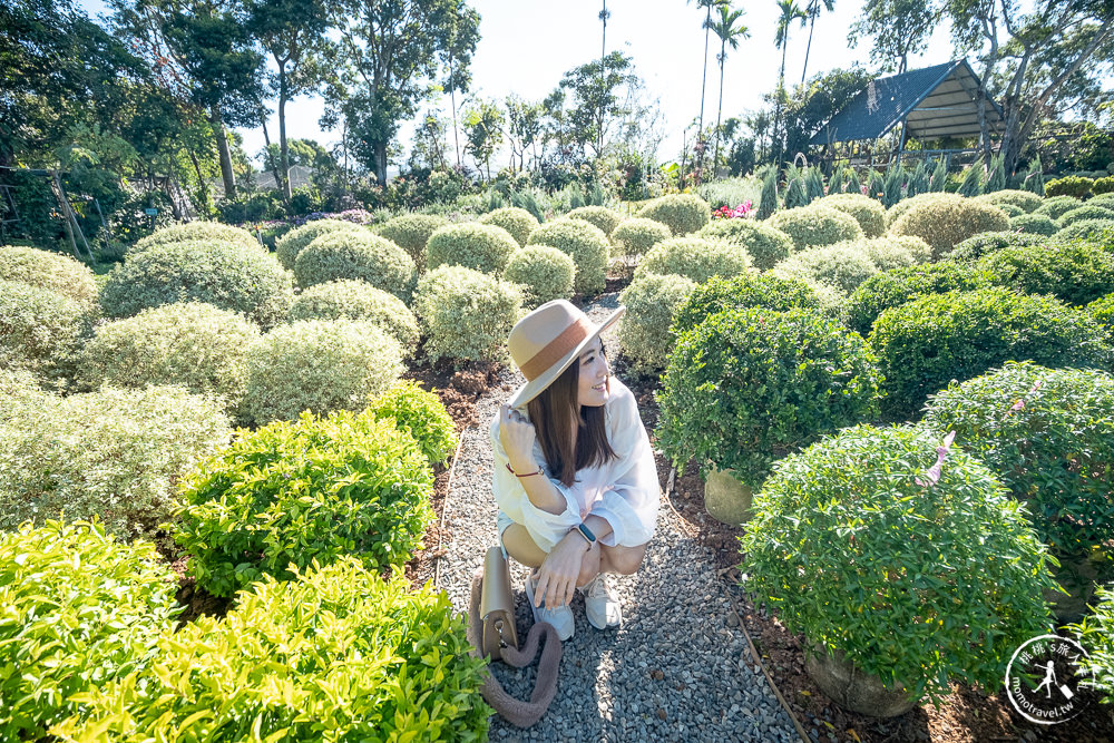 苗栗卓蘭景點》花露休閒農場－波波草花園登場│繡球花.薰衣草.森系景觀餐廳推薦