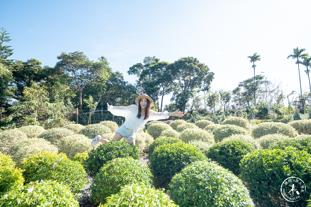 苗栗卓蘭景點》花露休閒農場－波波草花園登場│繡球花.薰衣草.森系景觀餐廳推薦