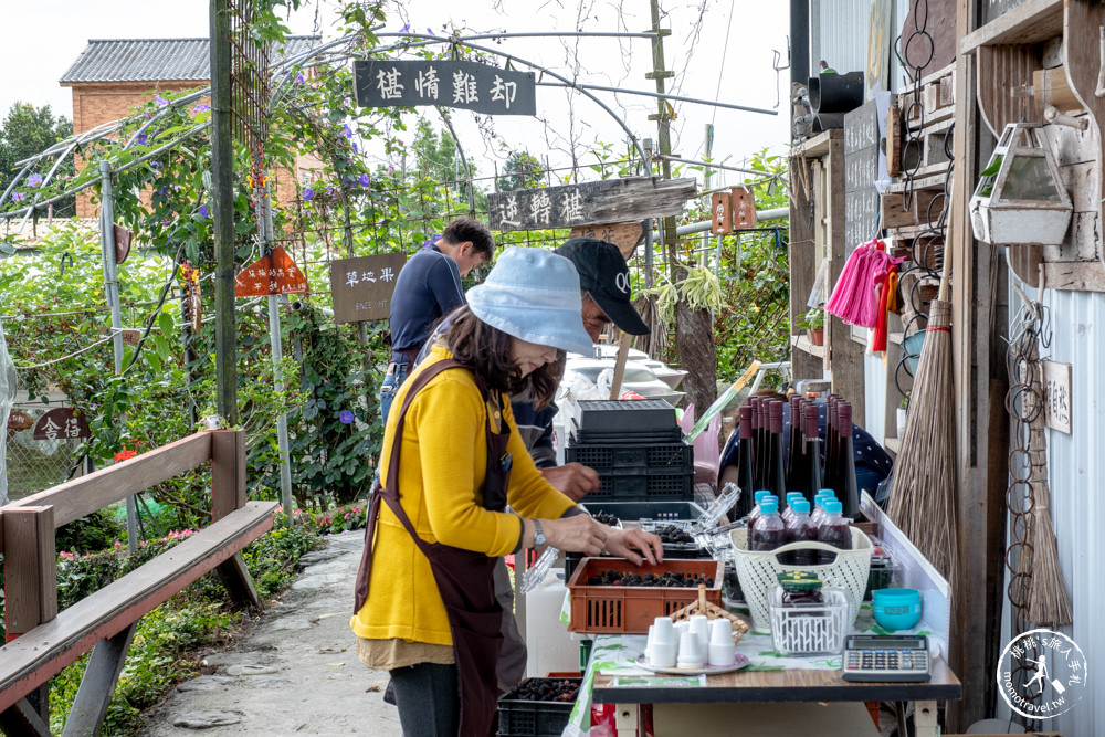 宜蘭員山景點|枕山草地果園 採桑葚體驗|期間限定採摘桑椹推薦.營業時間.門票收費.交通停車介紹