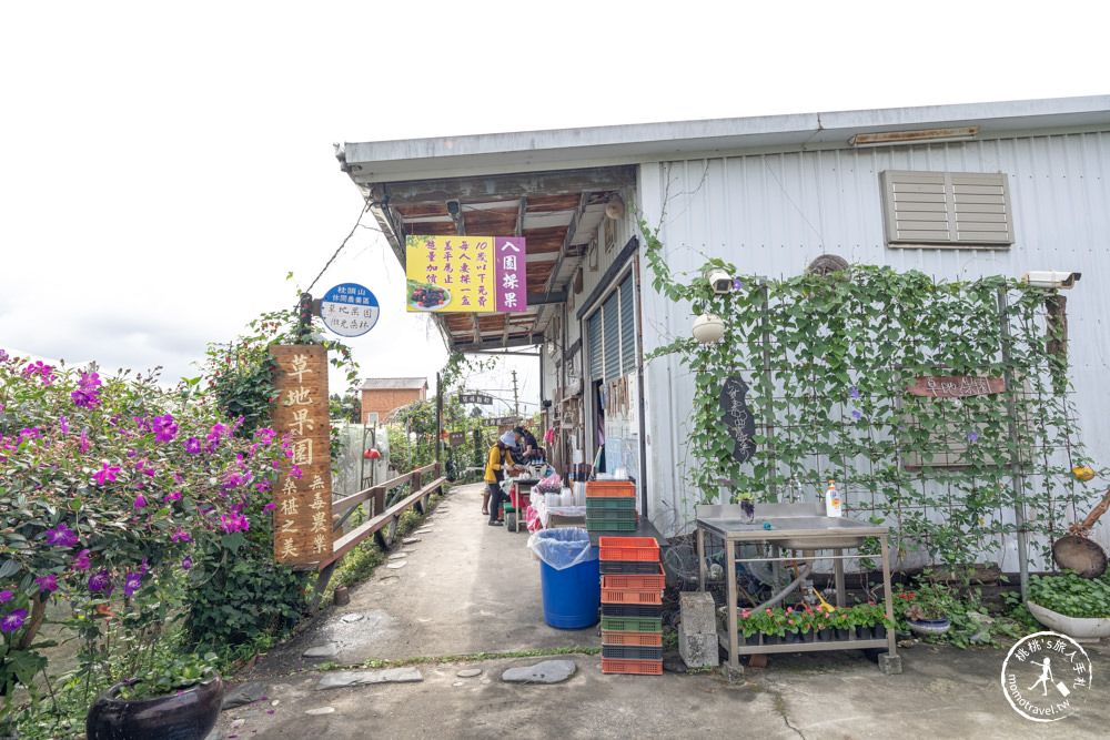 宜蘭員山景點|枕山草地果園 採桑葚體驗|期間限定採摘桑椹推薦.營業時間.門票收費.交通停車介紹