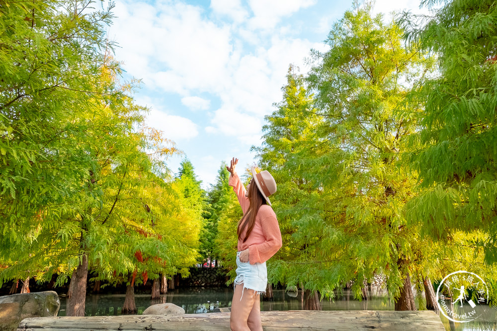 台中后里景點》后里泰安·羽粼落羽松│泰安落羽松秘境交通停車.門票收費.季節時間介紹