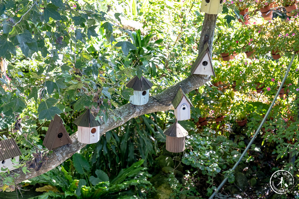 苗栗卓蘭景點》花露休閒農場－波波草花園登場│繡球花.薰衣草.森系景觀餐廳推薦