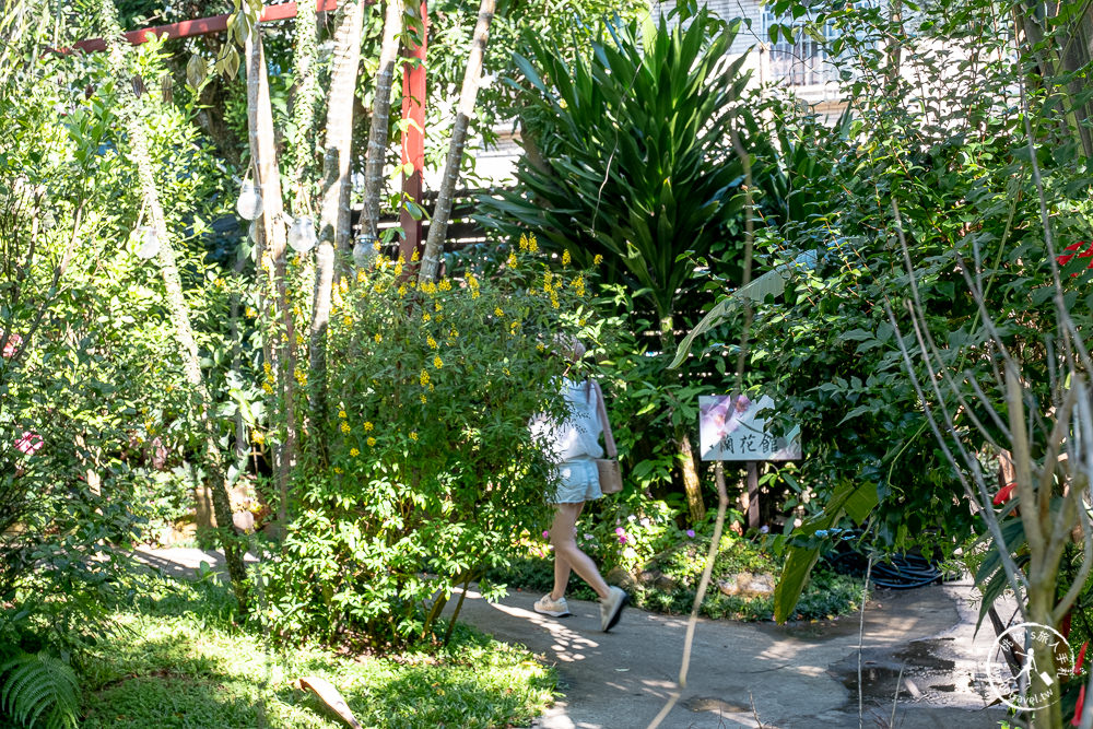 苗栗卓蘭景點》花露休閒農場－波波草花園登場│繡球花.薰衣草.森系景觀餐廳推薦