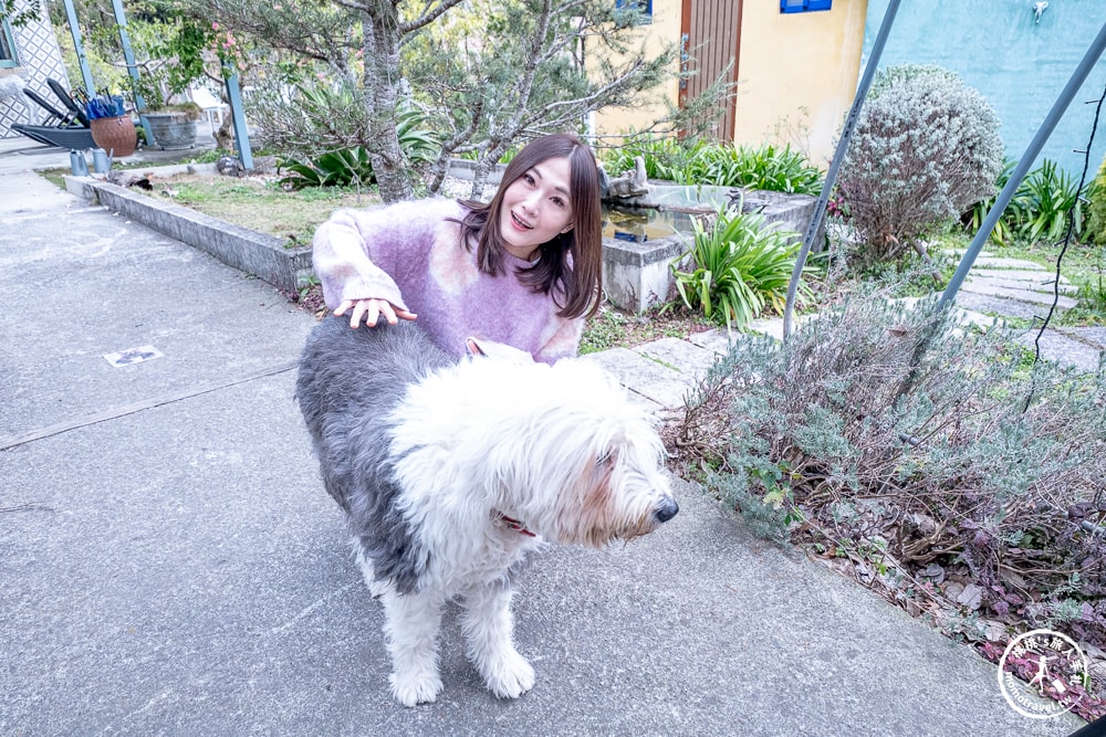 南投清境住宿|麋鹿遇見松鼠-發現山中的精靈小屋|房內有景觀陽台(房型價格.入住心得)