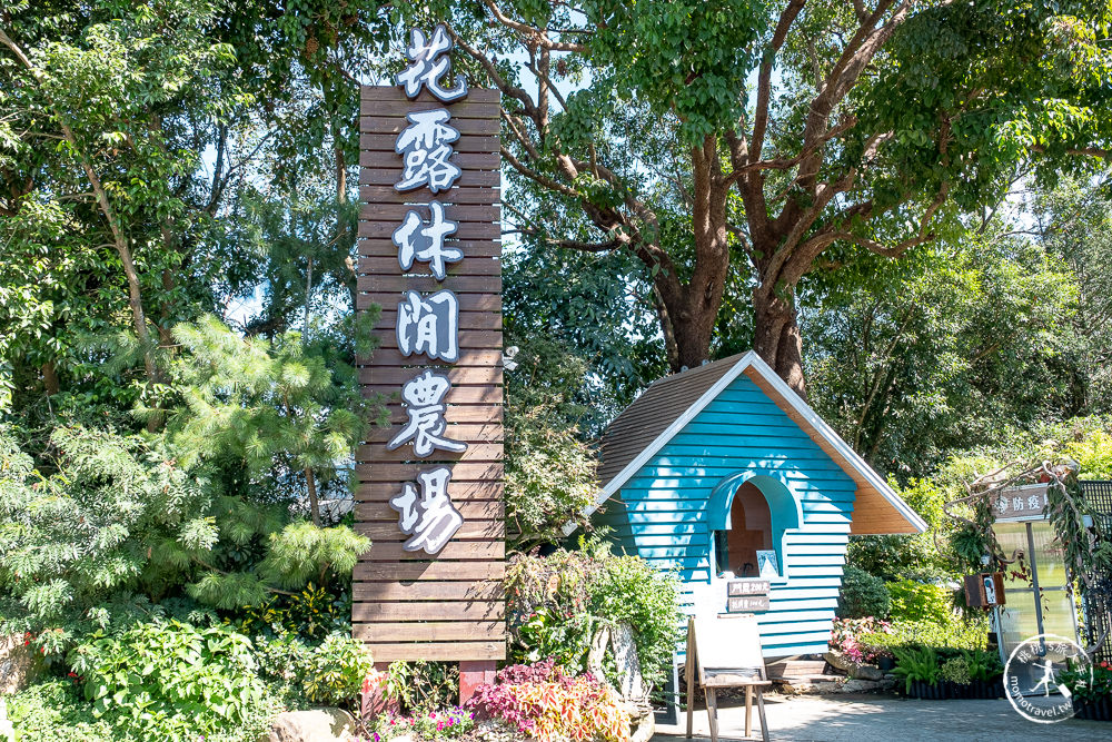 苗栗卓蘭景點》花露休閒農場－波波草花園登場│繡球花.薰衣草.森系景觀餐廳推薦