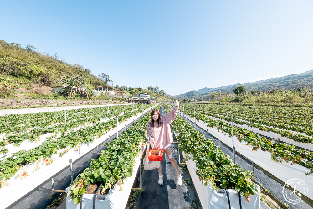 苗栗大湖新景點》紅色琉璃瓦免門票採草莓，再到唯美白色咖啡屋SUHU Café享用下午茶甜點