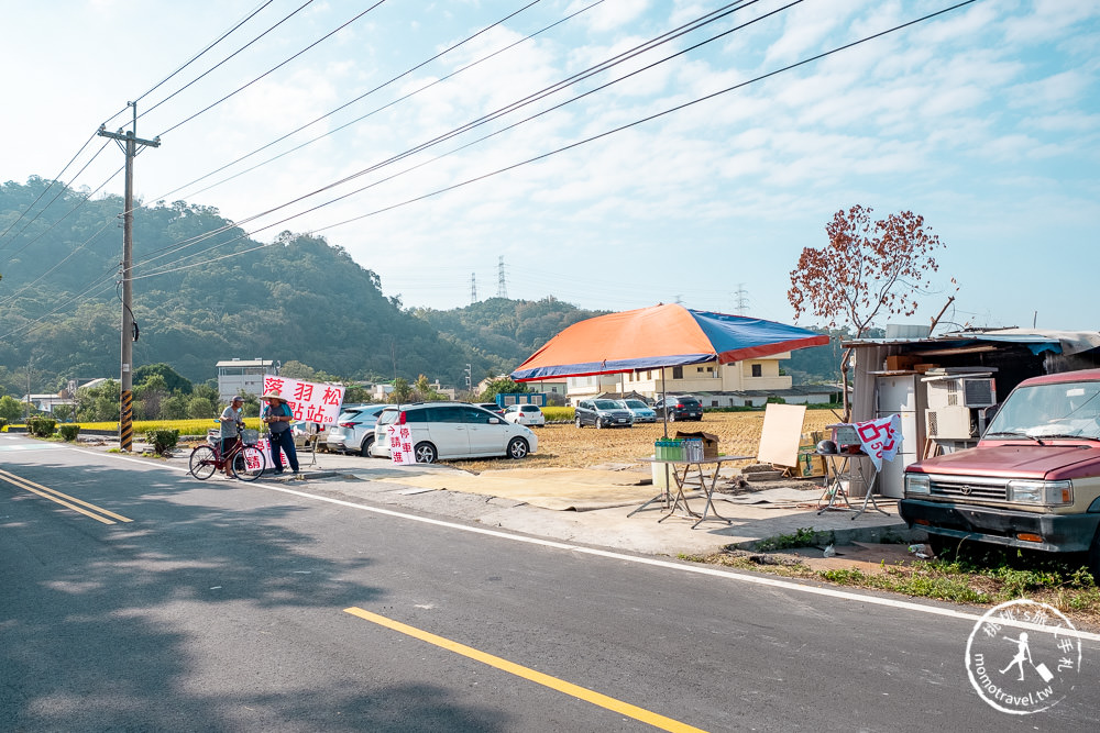 台中后里景點》后里泰安·羽粼落羽松│泰安落羽松秘境交通停車.門票收費.季節時間介紹