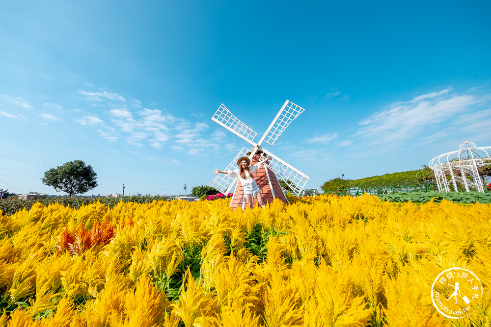 台中后里景點》中社觀光花市│最新12月花海布置登場.交通停車.門票收費.園區花卉地圖介紹