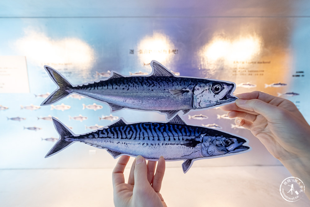 宜蘭蘇澳景點》大鯖魚夢工廠(免門票)│好逛好吃又好玩的鯖魚觀光工廠 (交通停車.營業時間.門票規定)