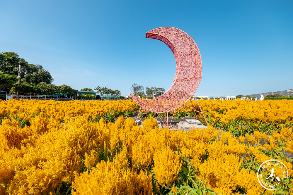 台中后里景點》中社觀光花市│最新12月花海布置登場.交通停車.門票收費.園區花卉地圖介紹