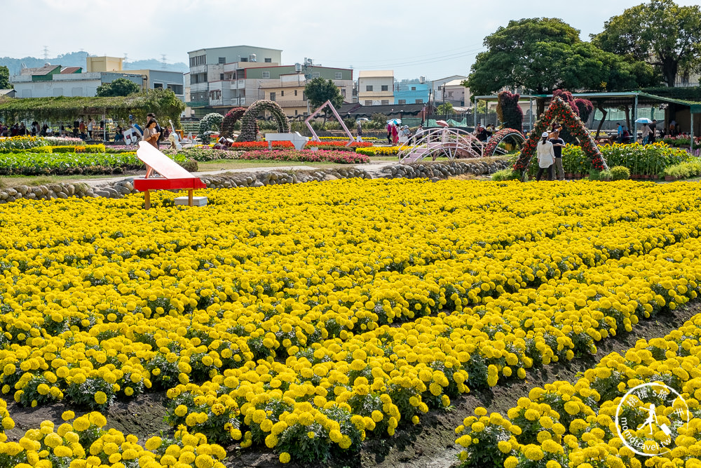 台中后里景點》中社觀光花市│最新12月花海布置登場.交通停車.門票收費.園區花卉地圖介紹