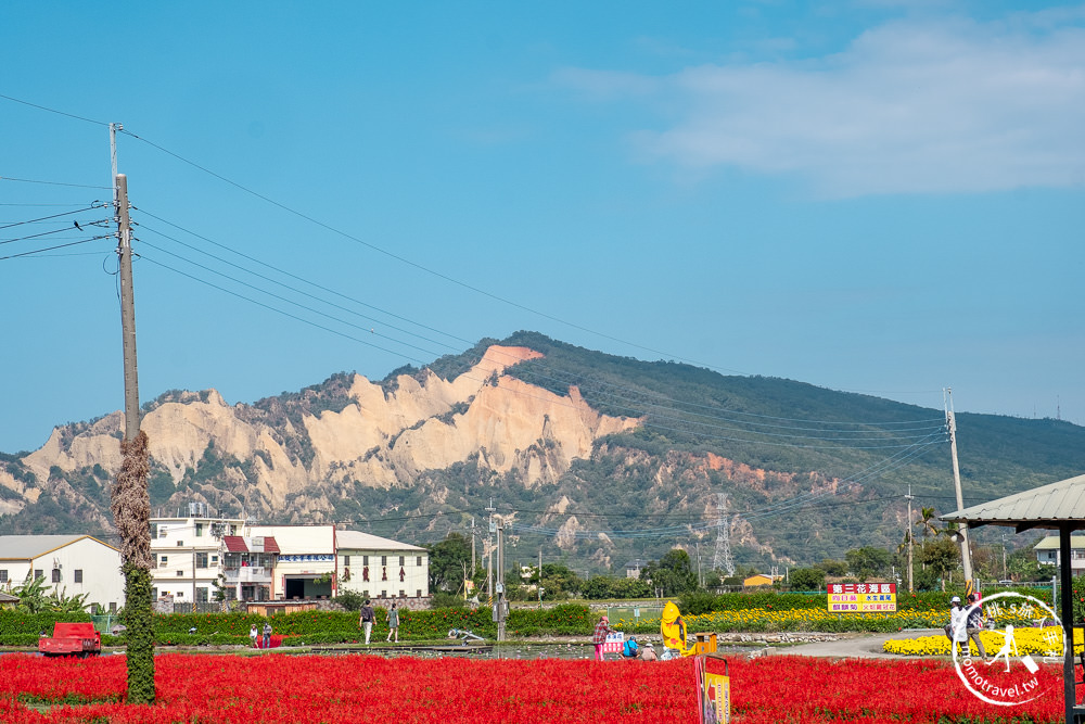 台中后里景點》中社觀光花市│最新12月花海布置登場.交通停車.門票收費.園區花卉地圖介紹