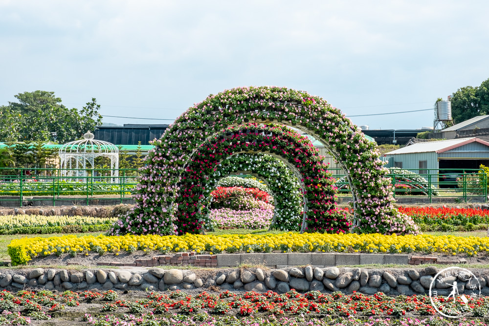 台中后里景點》中社觀光花市│最新12月花海布置登場.交通停車.門票收費.園區花卉地圖介紹