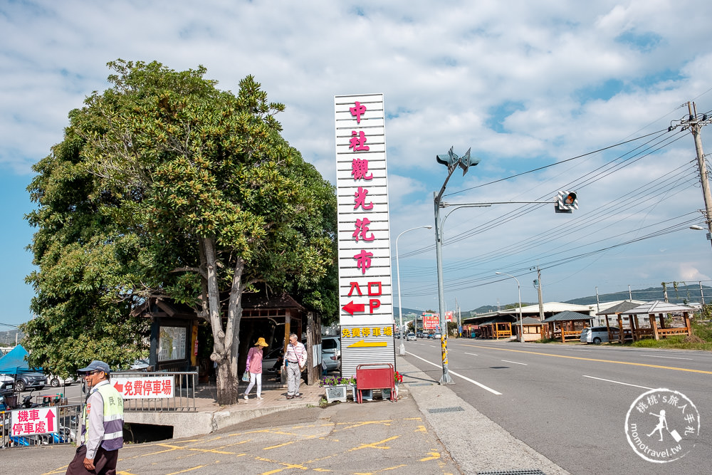 台中后里景點》中社觀光花市│最新12月花海布置登場.交通停車.門票收費.園區花卉地圖介紹