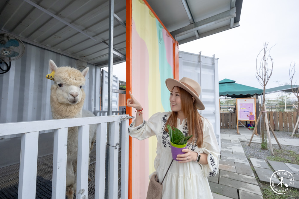 宜蘭冬山景點|星夢森林劇場-可愛動物園地|水豚家族.小鹿.小羊.羊駝零距離體驗|天使星夢渡假村旁(營業時間.交通停車.門票資訊)