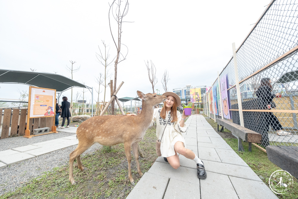 宜蘭冬山景點|星夢森林劇場-可愛動物園地|水豚家族.小鹿.小羊.羊駝零距離體驗|天使星夢渡假村旁(營業時間.交通停車.門票資訊)