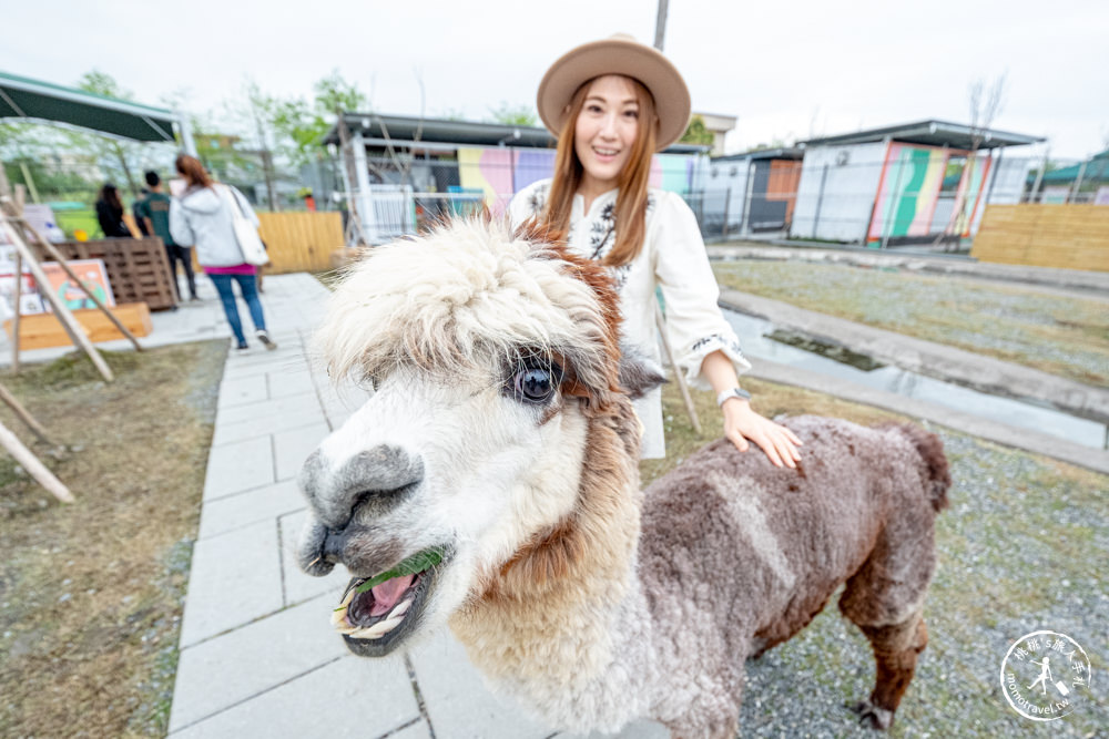 宜蘭冬山景點|星夢森林劇場-可愛動物園地|水豚家族.小鹿.小羊.羊駝零距離體驗|天使星夢渡假村旁(營業時間.交通停車.門票資訊)