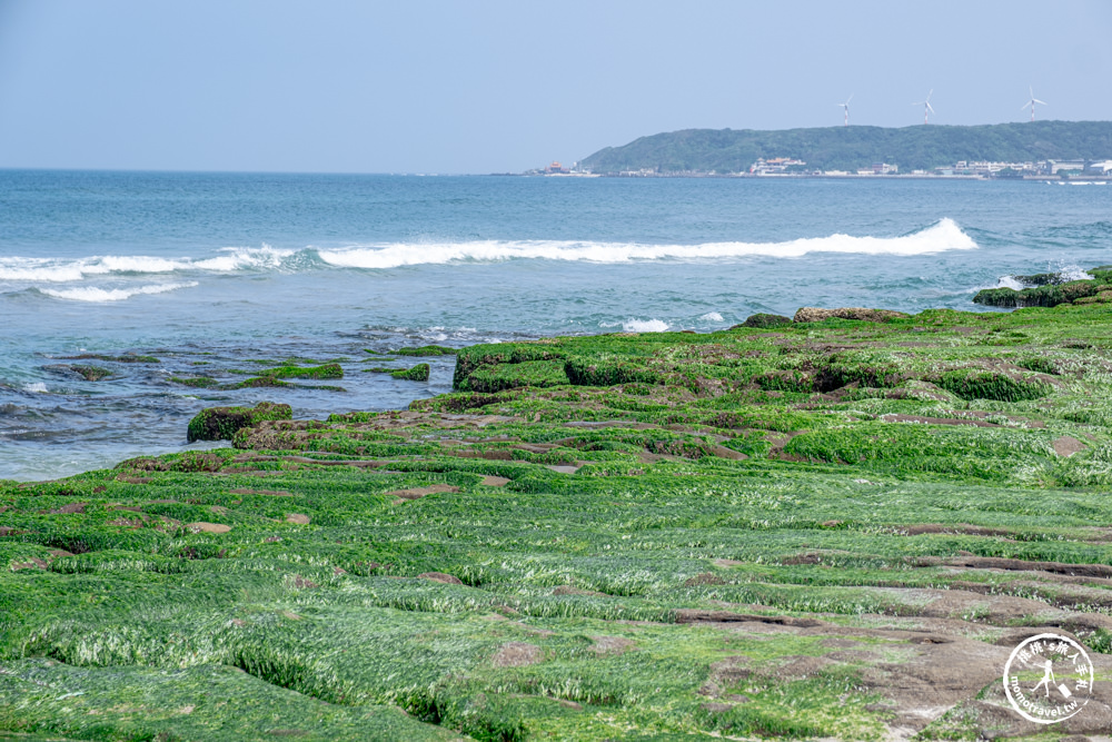 新北石門景點|老梅綠石槽(免門票)－季節限定 北海岸抹茶地毯海岸線．錯過明年再見