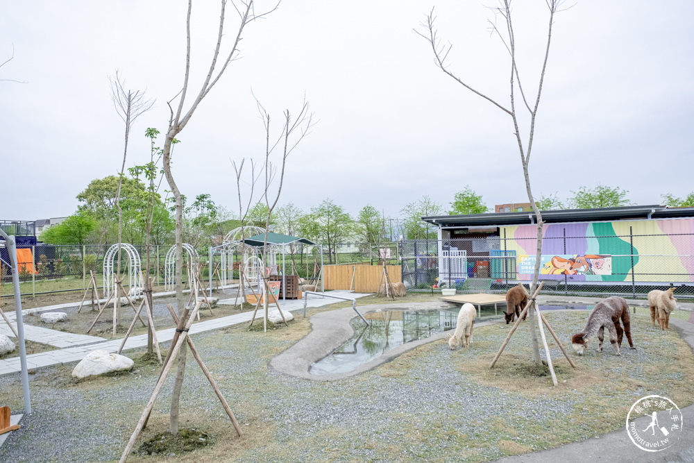 宜蘭冬山景點|星夢森林劇場-可愛動物園地|水豚家族.小鹿.小羊.羊駝零距離體驗|天使星夢渡假村旁(營業時間.交通停車.門票資訊)