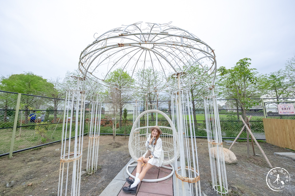 宜蘭冬山景點|星夢森林劇場-可愛動物園地|水豚家族.小鹿.小羊.羊駝零距離體驗|天使星夢渡假村旁(營業時間.交通停車.門票資訊)