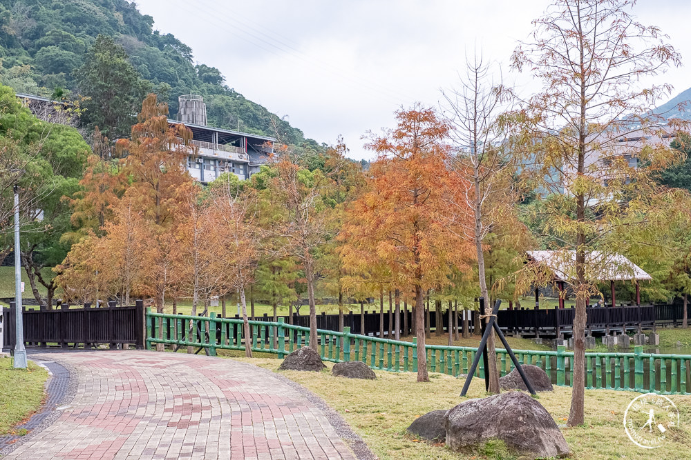 台北士林景點|原住民文化主題公園|忘憂湖畔落羽松秘境