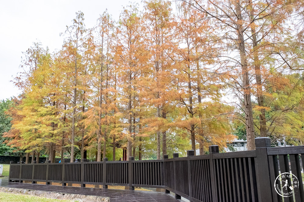 台北士林景點|原住民文化主題公園|忘憂湖畔落羽松秘境