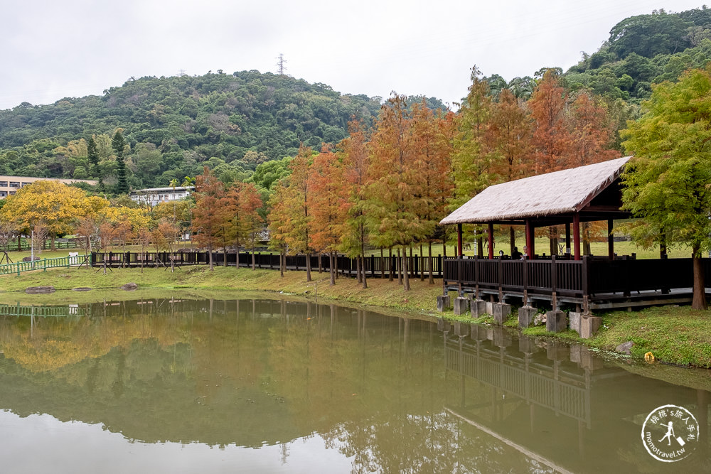 台北士林景點|原住民文化主題公園|忘憂湖畔落羽松秘境