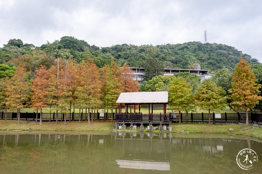 台北士林景點|原住民文化主題公園|忘憂湖畔落羽松秘境