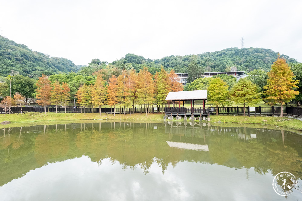 台北士林景點|原住民文化主題公園|忘憂湖畔落羽松秘境