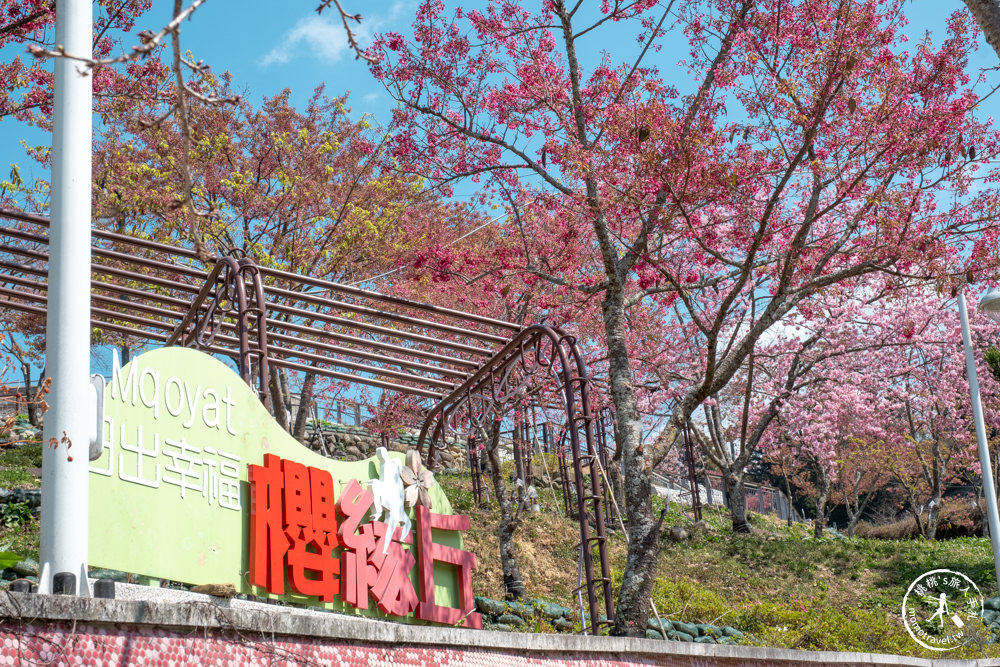 台中和平景點|梨山Mqoyat日出幸福-櫻緣丘(免門票)|福壽山千櫻園周邊賞櫻秘境再一個!!! 最新花況.交通.開放時間