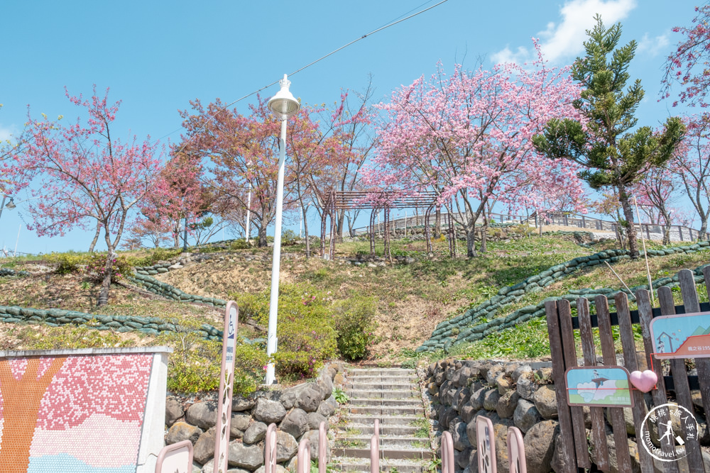 台中和平景點|梨山Mqoyat日出幸福-櫻緣丘(免門票)|福壽山千櫻園周邊賞櫻秘境再一個!!! 最新花況.交通.開放時間