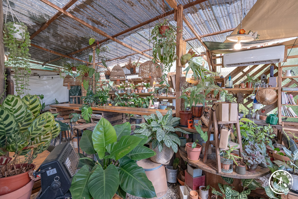 桃園龍潭美食|茉莉花園cafe-被綠色植物環繞的手作木屋咖啡館推薦(營業時間.菜單價格) 桃園龍潭美食|茉莉花園cafe-被綠色植物環繞的手作木屋咖啡館推薦(營業時間.菜單價格)