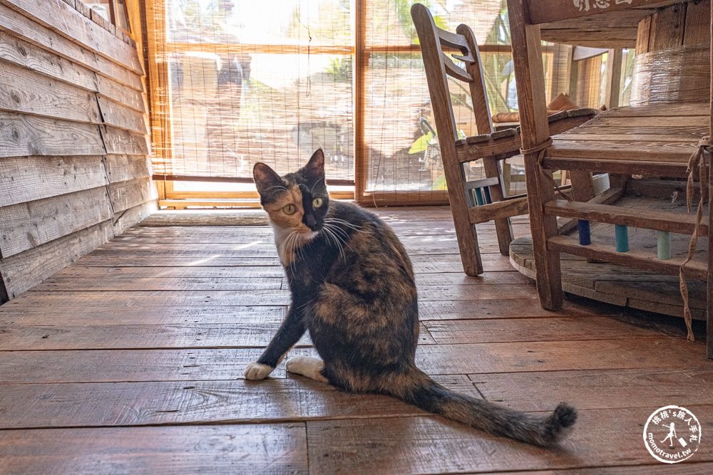 桃園龍潭美食|茉莉花園cafe-被綠色植物環繞的手作木屋咖啡館推薦(營業時間.菜單價格) 桃園龍潭美食|茉莉花園cafe-被綠色植物環繞的手作木屋咖啡館推薦(營業時間.菜單價格)