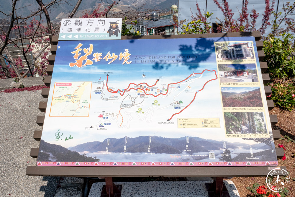 台中和平景點|梨山Mqoyat日出幸福-櫻緣丘(免門票)|福壽山千櫻園周邊賞櫻秘境再一個!!! 最新花況.交通.開放時間
