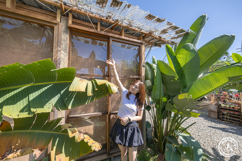 桃園龍潭美食|茉莉花園cafe-被綠色植物環繞的手作木屋咖啡館推薦(營業時間.菜單價格) 桃園龍潭美食|茉莉花園cafe-被綠色植物環繞的手作木屋咖啡館推薦(營業時間.菜單價格)