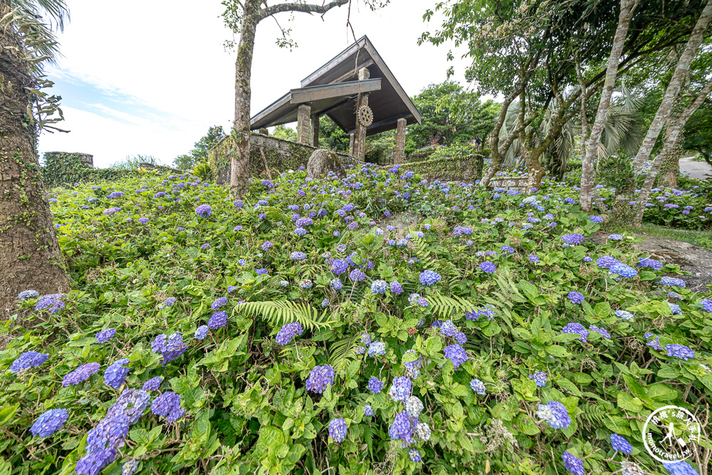 繡球花景點|石牌縣界公園(免門票)-免費繡球花秘境,北宜公路最美中繼站,還能遠眺龜山島、蘭陽平原美景 繡球花景點|石牌縣界公園(免門票)-免費繡球花秘境,北宜公路最美中繼站,還能遠眺龜山島、蘭陽平原美景