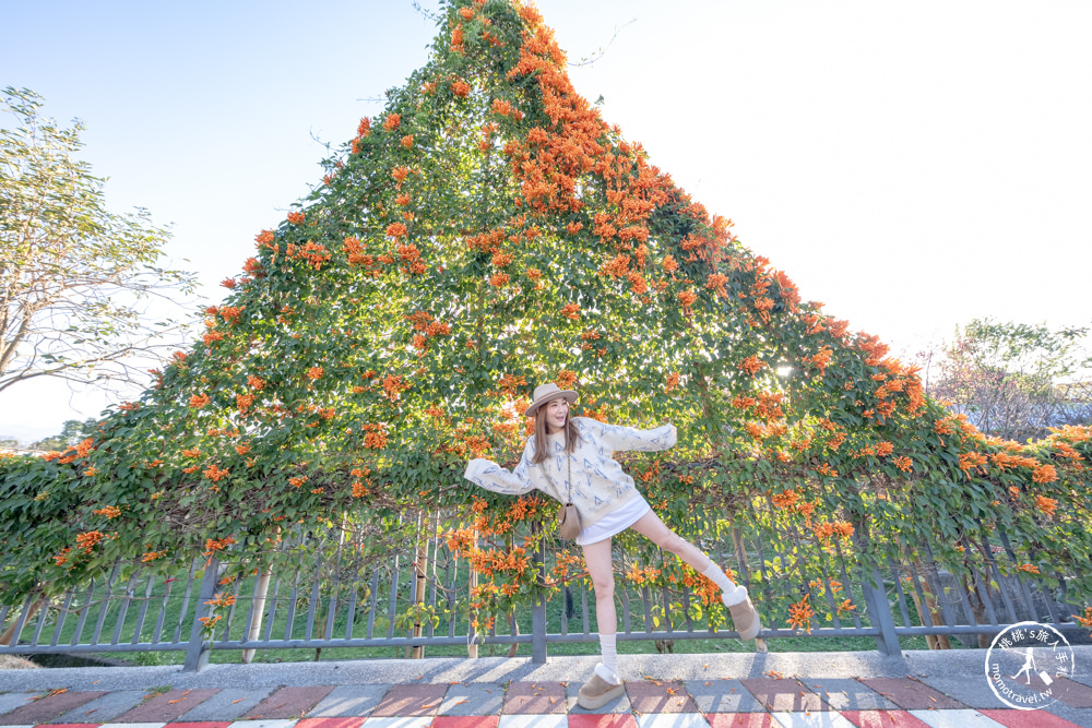 新北鶯歌景點|鶯歌永吉公園 櫻花+炮仗花 接力綻放|花期花況.交通停車.捷運永吉公園站