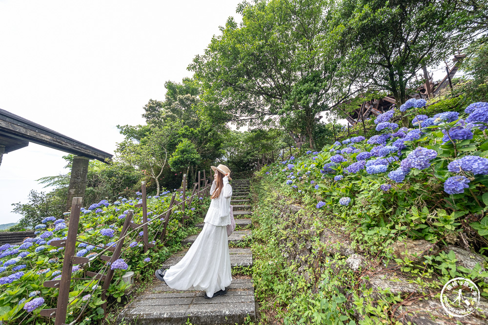 繡球花景點|石牌縣界公園(免門票)-免費繡球花秘境,北宜公路最美中繼站,還能遠眺龜山島、蘭陽平原美景 繡球花景點|石牌縣界公園(免門票)-免費繡球花秘境,北宜公路最美中繼站,還能遠眺龜山島、蘭陽平原美景
