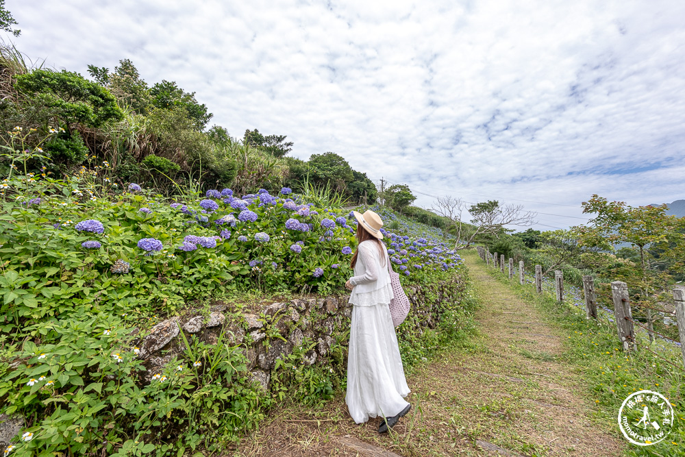 繡球花景點|石牌縣界公園(免門票)-免費繡球花秘境,北宜公路最美中繼站,還能遠眺龜山島、蘭陽平原美景 繡球花景點|石牌縣界公園(免門票)-免費繡球花秘境,北宜公路最美中繼站,還能遠眺龜山島、蘭陽平原美景