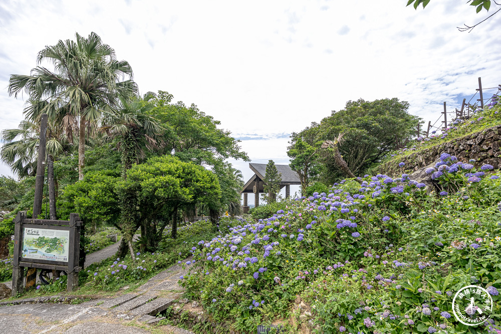 繡球花景點|石牌縣界公園(免門票)-免費繡球花秘境,北宜公路最美中繼站,還能遠眺龜山島、蘭陽平原美景 繡球花景點|石牌縣界公園(免門票)-免費繡球花秘境,北宜公路最美中繼站,還能遠眺龜山島、蘭陽平原美景