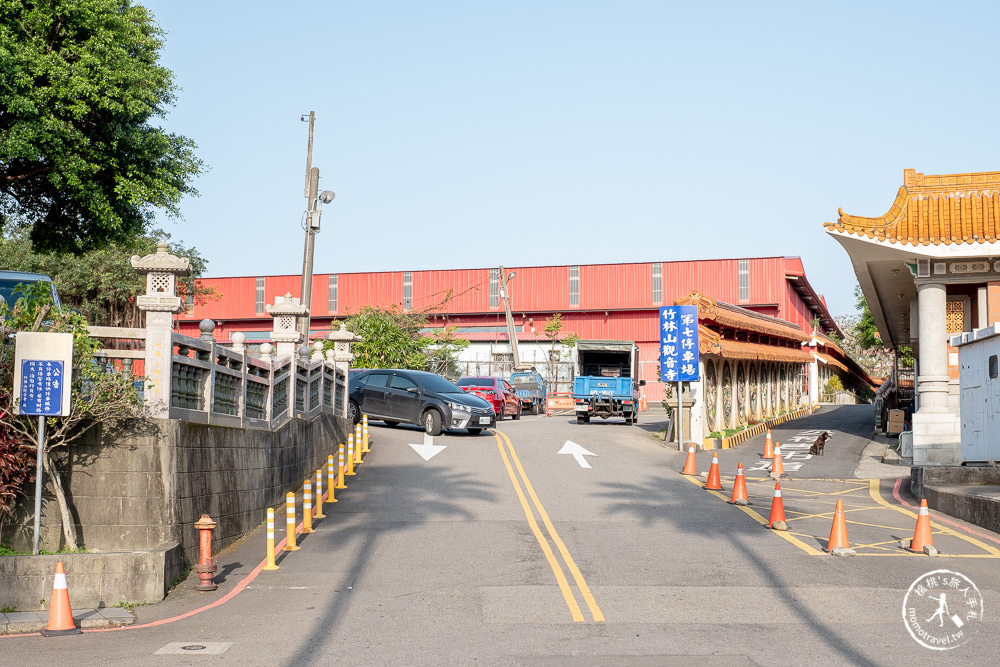 新北林口|竹林山觀音寺櫻花景點|在華麗廟宇建築與庭園中漫步賞櫻|很靈驗香火鼎盛