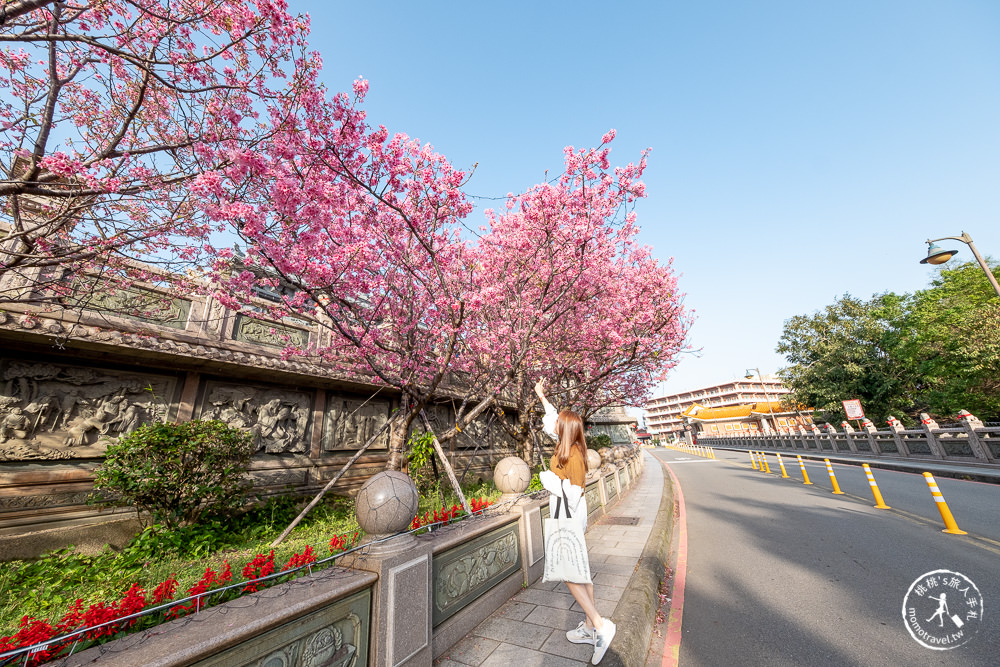 新北林口|竹林山觀音寺櫻花景點|在華麗廟宇建築與庭園中漫步賞櫻|很靈驗香火鼎盛