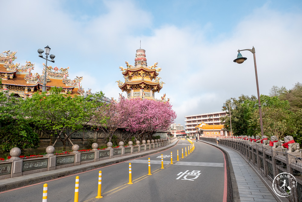新北林口|竹林山觀音寺櫻花景點|在華麗廟宇建築與庭園中漫步賞櫻|很靈驗香火鼎盛
