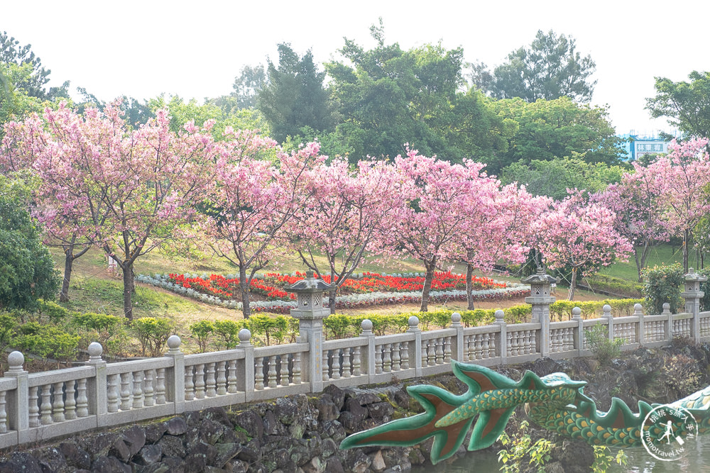 新北林口|竹林山觀音寺櫻花景點|在華麗廟宇建築與庭園中漫步賞櫻|很靈驗香火鼎盛