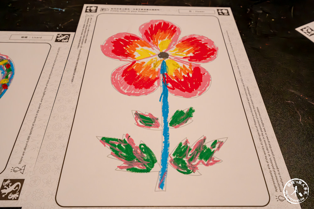 台北展覽|日本teamLab 共創！未來園－台北科教館 夢幻展出(展期.門票.周邊商品)